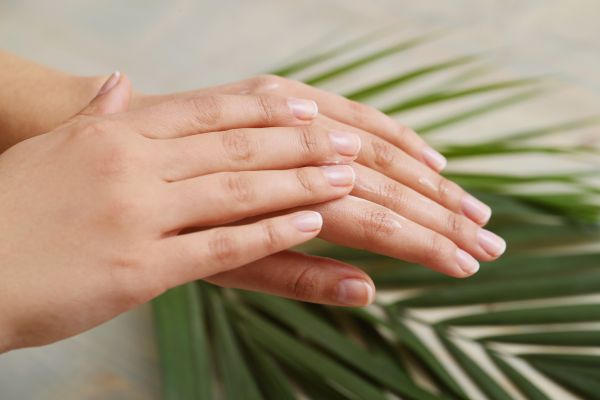 Laloe vera peut etre utilise pour faire pousser les ongles